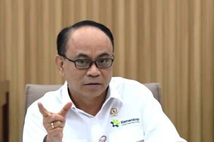 Budi Arie