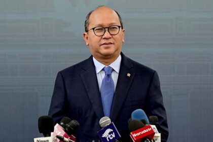 CEO Danantara