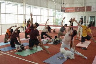 Ilustrasi jips 2026 untuk artikel JIPS 2026: Yoga Bersama Anjing & Mini Zoo Irfan Hakim