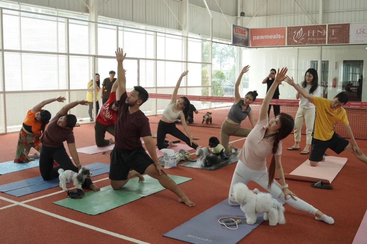 JIPS 2026: Yoga Anjing & Mini Zoo Irfan Hakim Ilustrasi jips 2026 untuk artikel JIPS 2026: Yoga Bersama Anjing & Mini Zoo Irfan Hakim