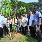 Ilustrasi naik taraf taman mangga untuk artikel Naik Taraf Taman Mangga Bukti Komitmen Kerajaan Negeri